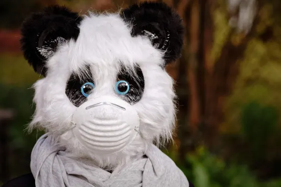 Casino Mars Bet Assistance